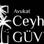 Ceyhun Güvel Profile Picture